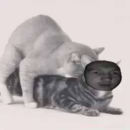 IrisKissKiss