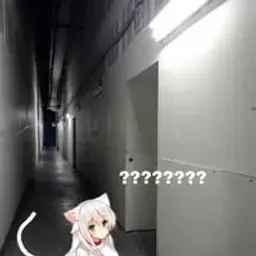 ttolomaks