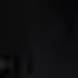dwsw