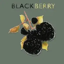 BlackBerry_inactive5158951