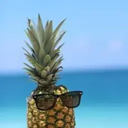 ananasiksik