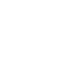 AR117
