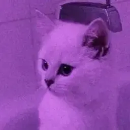 m_a_g_a1