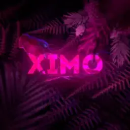 Ximo_inactive5554187