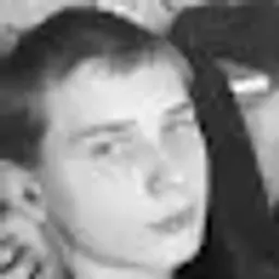 Димс
