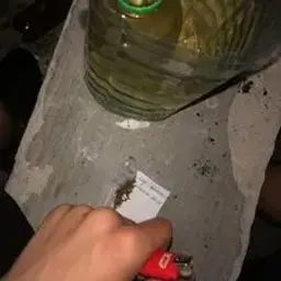 qwex_inactive5514890