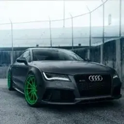 Audi_inactive5458977
