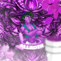 ALADDIN_WORKING