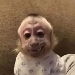 trapdaniil