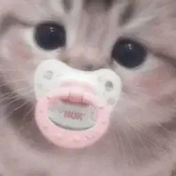 лойолка