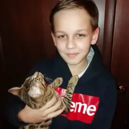 id508166621