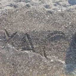 spacetwix