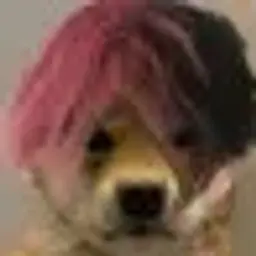 Fre3zzex