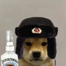 ivanih_228