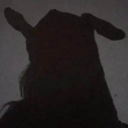 alohadance666x7