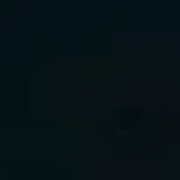 NNPOMIDOR