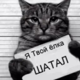 САНЯ7777_inactive808636