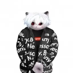 gosha009