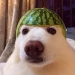 pukolka3000