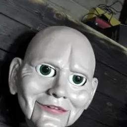 LedByARaven