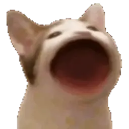 jlua1