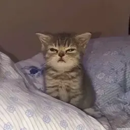 Finagero