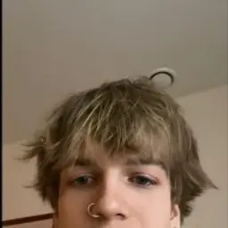 Fjsbdjxj
