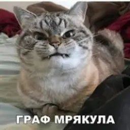 trebovania