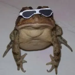 MrVinni
