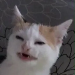 Iuraschennikoff
