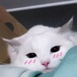 Никита55115