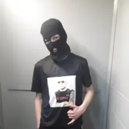 vdlsglsgsg