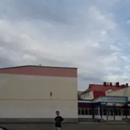Kuratorz