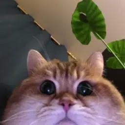 KirillDevicon