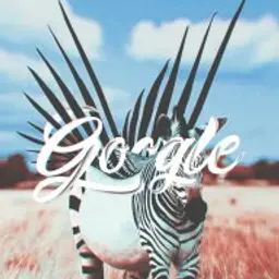 G0ogle_inactive2233853