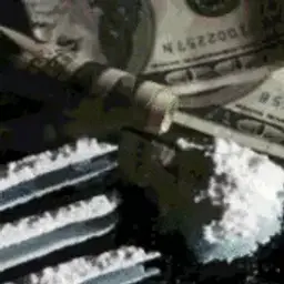 koksBABY