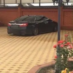 alikhan444556