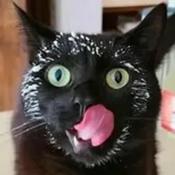 creatorqewfgdb