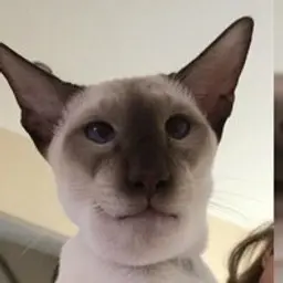 martfxz2