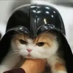 UbiVanKenobi