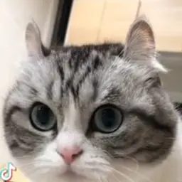 Ka6aH