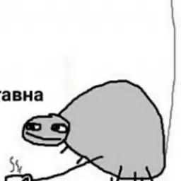 MARKOT666