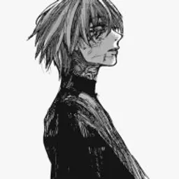 Aniro4ka
