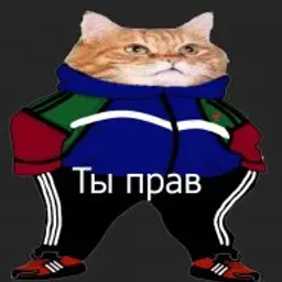 Swvinki