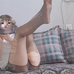 EkalIN