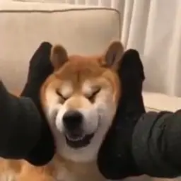 SagaMegaGamer