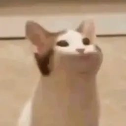cppdev