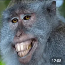 intelBro