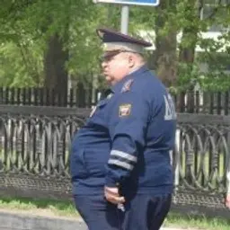 Interpollice