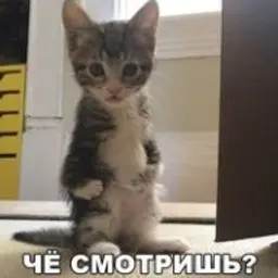 Максгв